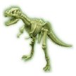 4M Tyrannosaura Rex DNA kit - KP HRAČKA