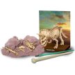 4M Triceratops skladacia kostra - KP HRAČKA