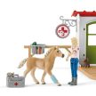 Schleich Veterinárna ordinácia s domácimi zvieratami - KP HRAČKA