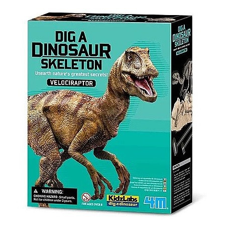 4M Velociraptora skladacia kostra - Velociraptor - KP HRAČKA