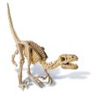4M Velociraptora skladacia kostra - Velociraptor - KP HRAČKA